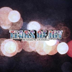 Listen to Tears Of Joy (feat. Dj Charlo) song with lyrics from Mr Smallz