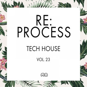 Various Artists的專輯Re:Process - Tech House, Vol. 23