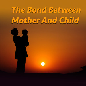 Listen to Sparkling Infinity song with lyrics from Power Shui