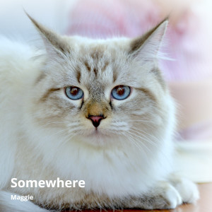 Maggie的專輯Somewhere