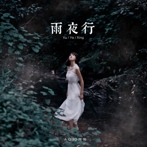 Listen to 雨夜行 song with lyrics from 阿悄