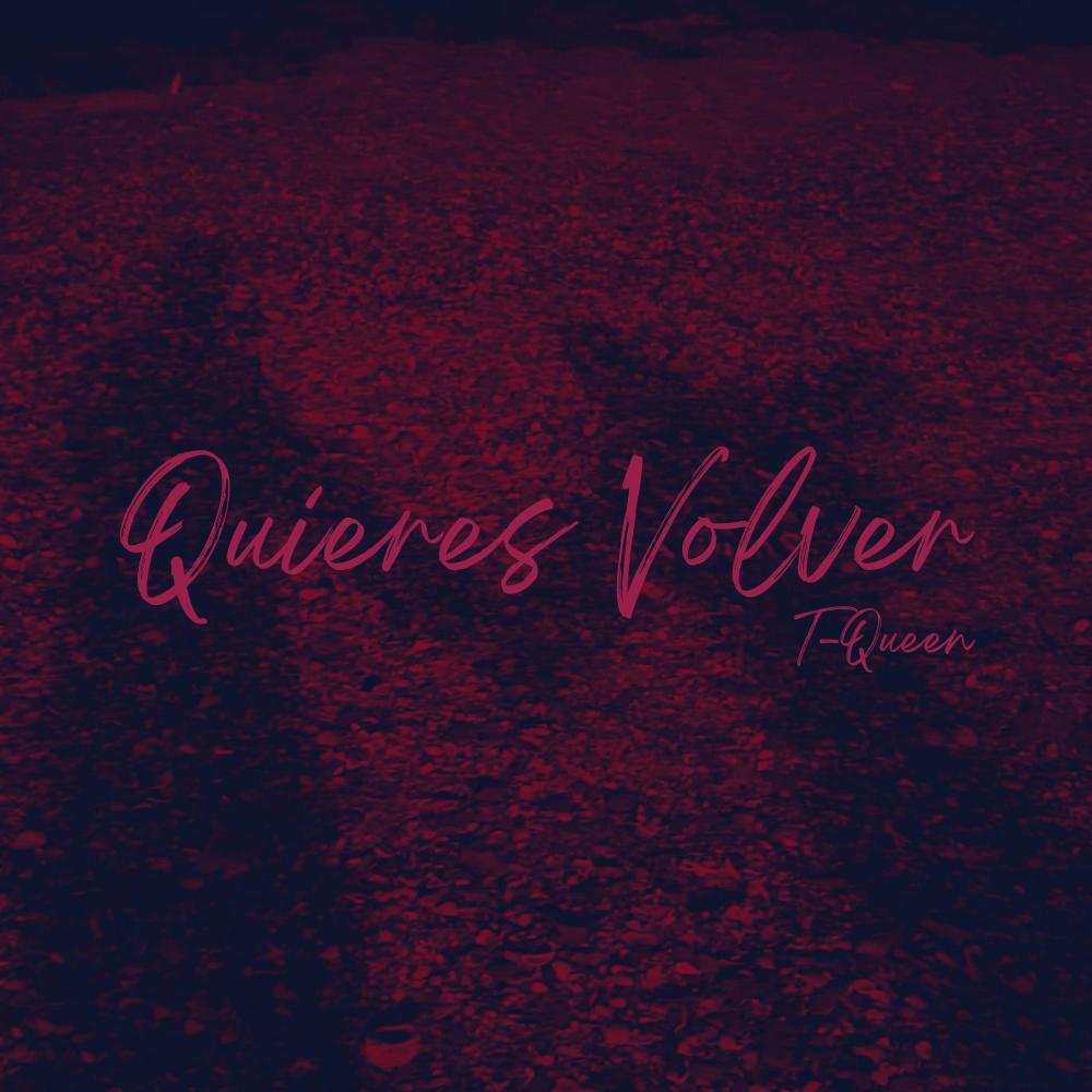 Quieres Volver (feat. QwertyMusique)