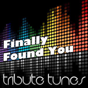 ดาวน์โหลดและฟังเพลง Finally Found You พร้อมเนื้อเพลงจาก Perfect Pitch