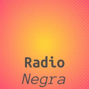 Various Artists的專輯Radio Negra