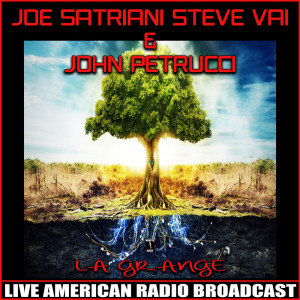 Listen to Little Wing (Live) song with lyrics from Joe Satriani