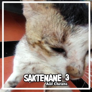 Listen to Saktenane 3 song with lyrics from Alif Chrizto