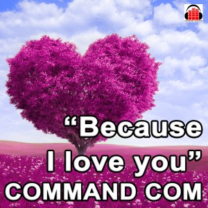 收聽Command com的Because I love you歌詞歌曲