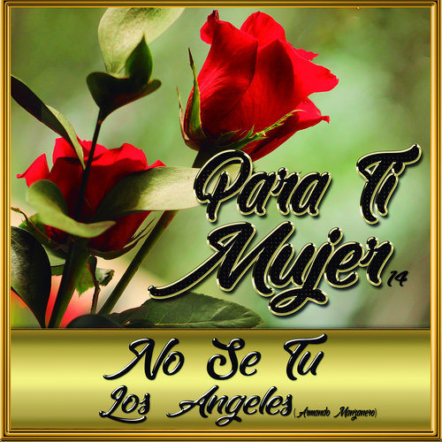 No Se Tu