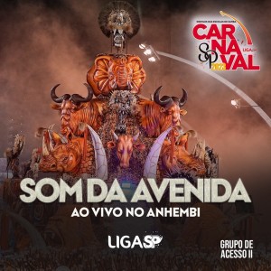 Som da Avenida Ao Vivo no Anhembi, Grupo de Acesso II dari Liga Carnaval SP