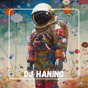 收听DJ ERKA的DJ HANING DAYAK歌词歌曲