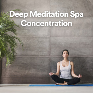 Lullabies for Deep Meditation的專輯Deep Meditation Spa Concentration