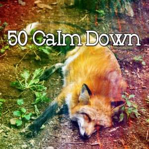 Listen to Pillows Song song with lyrics from Ocean Sounds Collection