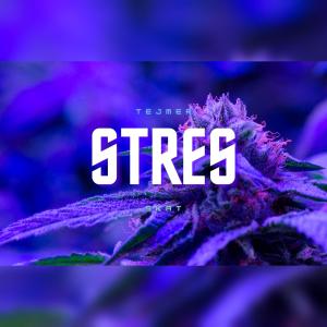 Stres (feat. Skat) (Explicit)