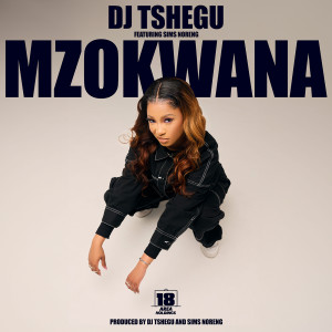 ดาวน์โหลดและฟังเพลง Mzokwana (feat. Sims Noreng) พร้อมเนื้อเพลงจาก DJ Tshegu