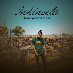 Listen to Inkinsela (feat. Mluh) song with lyrics from Teddya