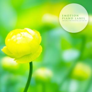 ดาวน์โหลดและฟังเพลง A Dreamlike Glittering Star พร้อมเนื้อเพลงจาก 문예진