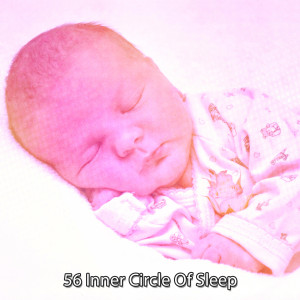 Nature Sound Series的专辑56 Inner Circle Of Sleep