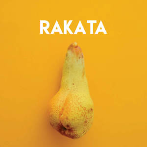 收聽Los Reggaetronics的Rakata歌詞歌曲