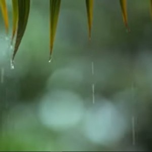 Listen to สุดทาง (Live) song with lyrics from Phumin