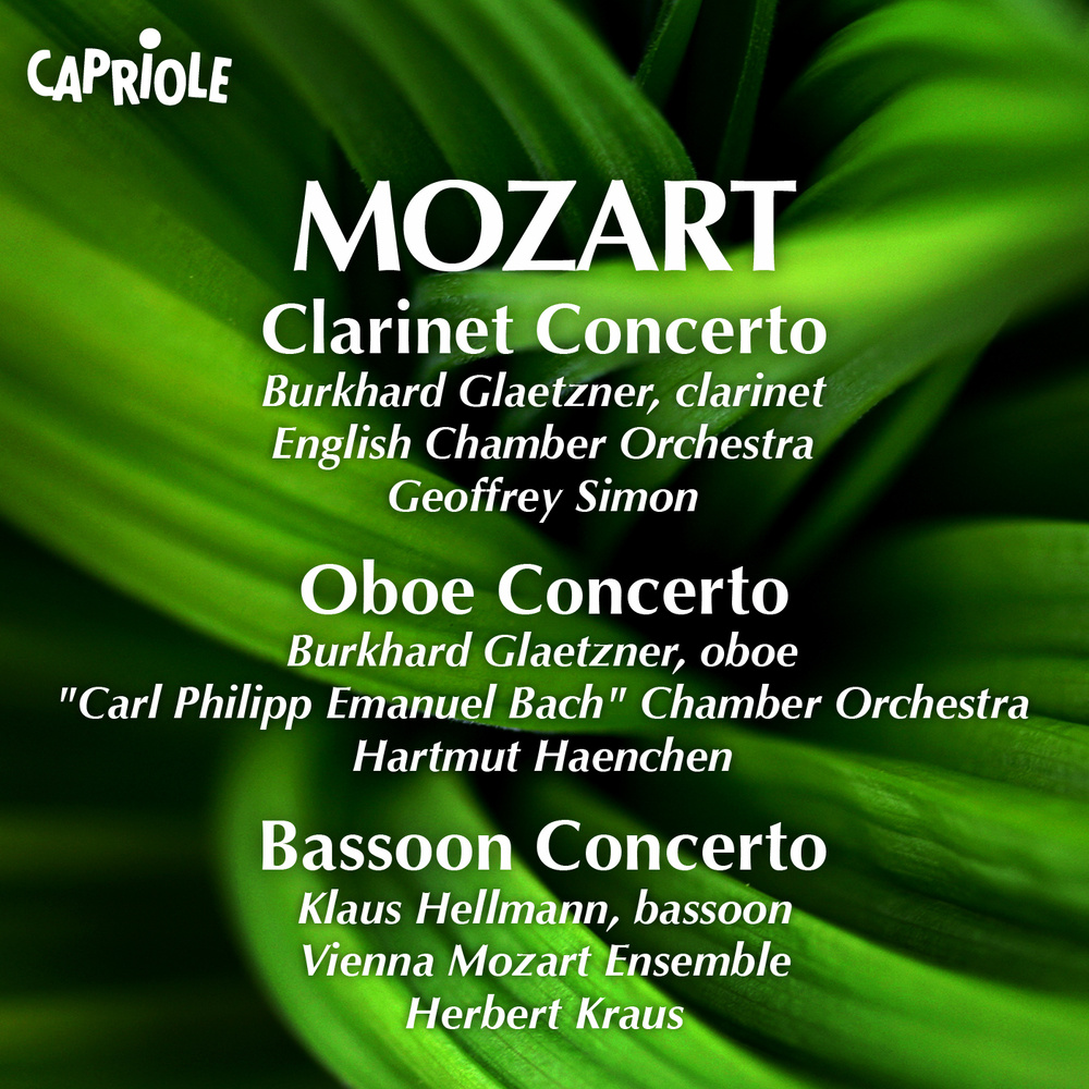 Andante in C Major, K. 315