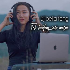 收聽DJ Belia Fang的Teh Kantong Sari Murni (Remix)歌詞歌曲