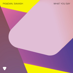 SIAVASH的專輯What You Say (Extended Version)