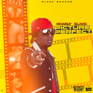 Charly Black的專輯Picture Perfect (Explicit)