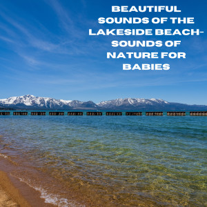 Beautiful Sounds of the Lakeside Beach- Sounds of Nature for Babies