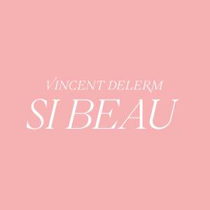Album Si beau from Vincent Delerm