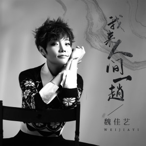 Listen to 我来人间一趟 song with lyrics from 魏佳艺