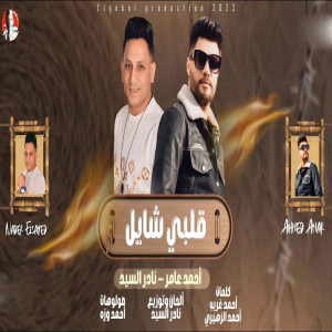 收聽Ahmed Amer的قلبى شايل歌詞歌曲