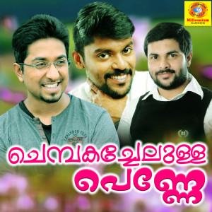Listen to Vellinilavin song with lyrics from Sayan