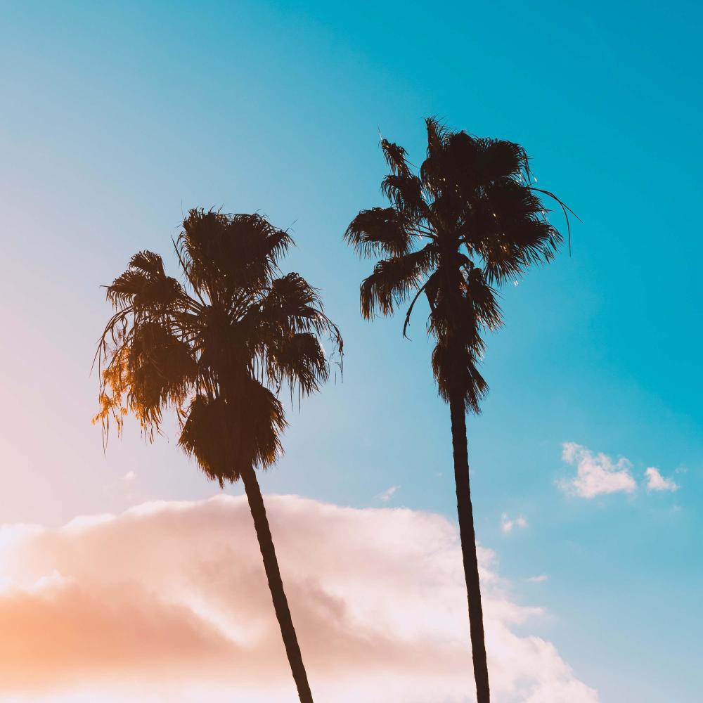 Sea Vibes