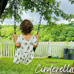 Album Cinderella (Acoustic Wedding Version) oleh Jake Coco