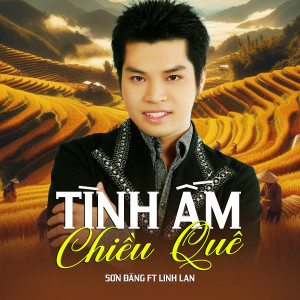 Listen to Tình Ấm Chiều Quê song with lyrics from Sơn Đăng