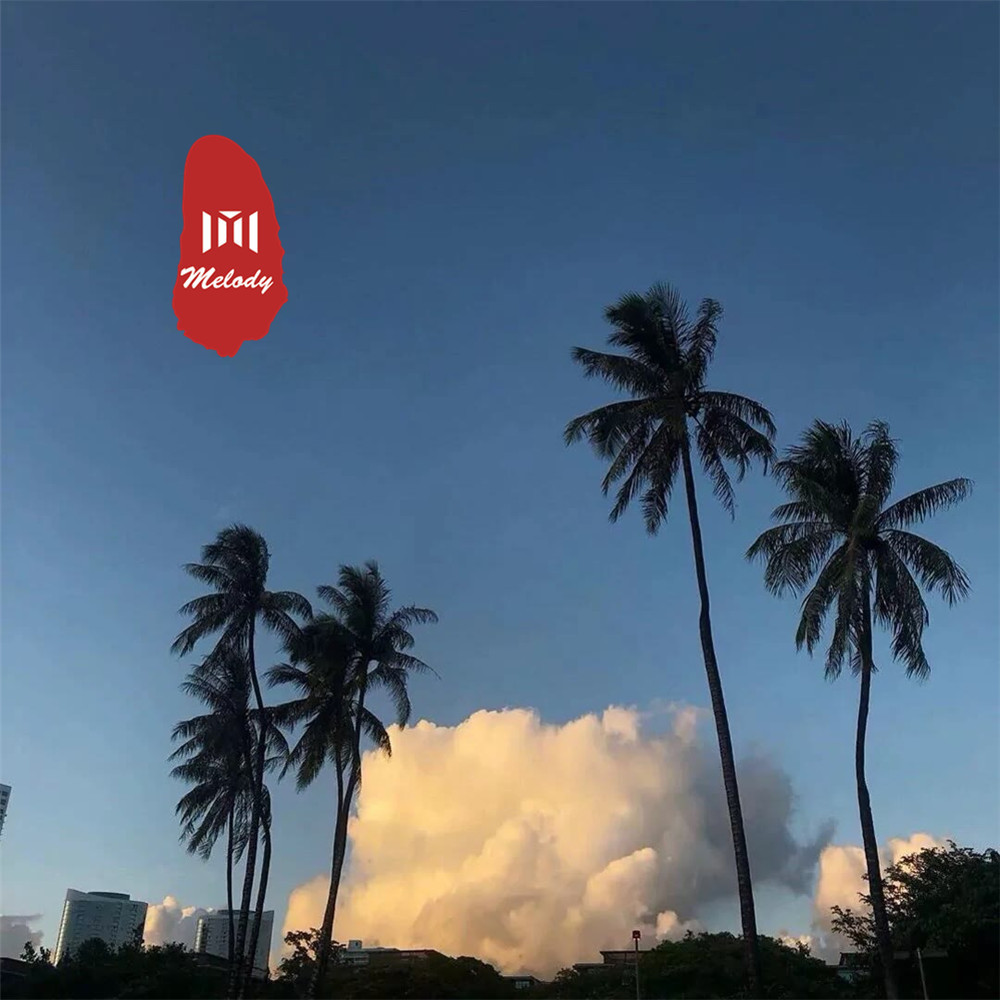 风华一梦 (DJ版)