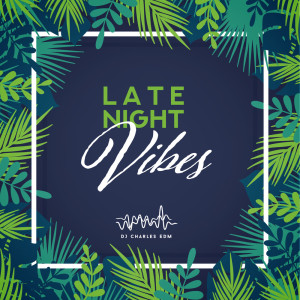 Listen to No Sleep song with lyrics from DJ Charles EDM