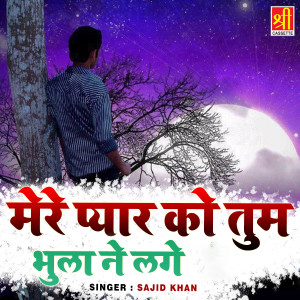 Dengarkan lagu Mere Pyar Ko Tum Bhula Ne Lage nyanyian Sajid Khan dengan lirik