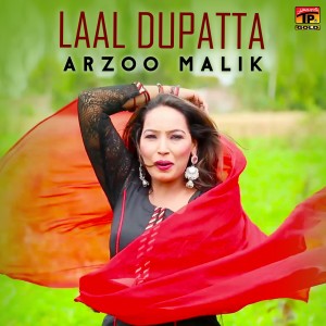 收听Arzoo Malik的Laal Dupatta歌词歌曲
