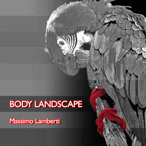 Album Body landscape from 