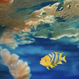 Listen to AQUAS song with lyrics from NOTYPE 9