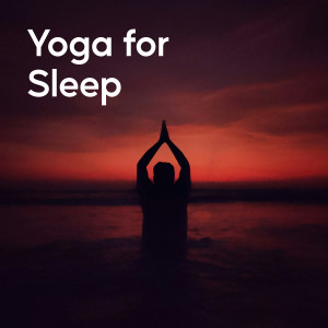 收聽Yoga Meditation Music Set的Twilight Yoga Moves歌詞歌曲