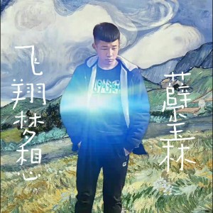 Listen to 飞翔梦想 (伴奏) song with lyrics from 薛玺林