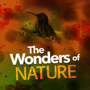 Outside Broadcast Recordings的專輯The Wonders of Nature