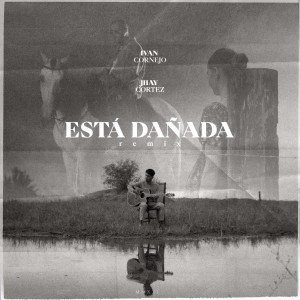 Ivan Cornejo的專輯Está Dañada (Remix)