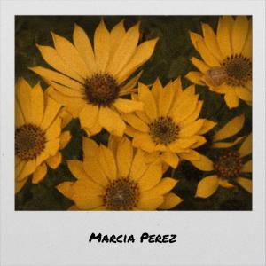 收听Karlos Nien的Marcia Perez歌词歌曲