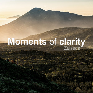 Listen to Zalseda song with lyrics from Moments of Clarity