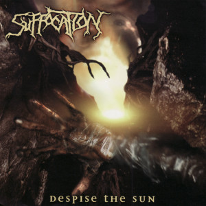ดาวน์โหลดและฟังเพลง Devoid of Truth พร้อมเนื้อเพลงจาก Suffocation