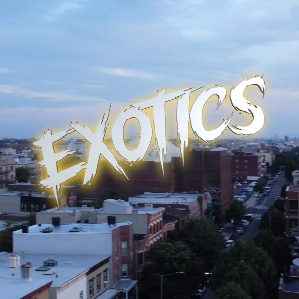 Exotics (feat. Dloadedfr) (Explicit)