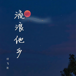 收聽付飞社的流浪他鄉 (DJ默涵版伴奏)歌詞歌曲